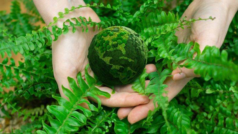 The Global Plastics Treaty: A New Era of Opportunity for Plastics Talent and Innovation